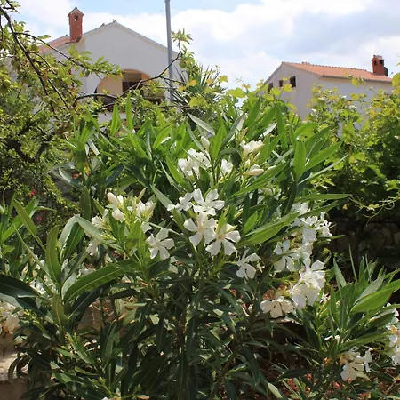 Lägenhet Apartments With Parking Space Cres - 7983 *