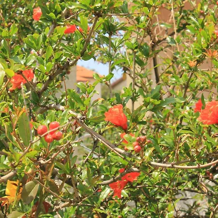 Apartments With Parking Space Cres - 7983 * Cres